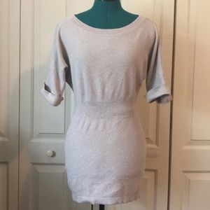 Express Sparkly Sweater Dress